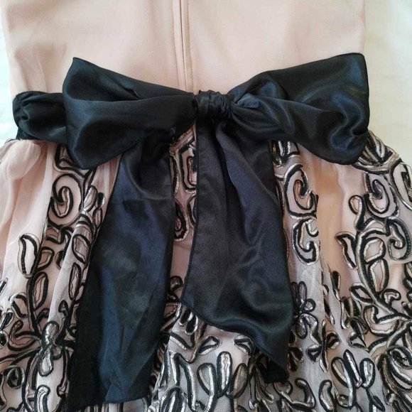 Bailey Blue Womens A Line Dress Pink Floral Sheer Bodice Scoop Neck Sleeveless 8 - Picture 4 of 7